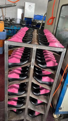 عکس تولیدی کفش دانش گام