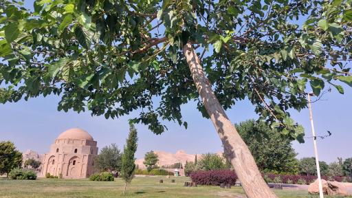 بوستان جبلیه