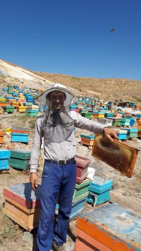 عسل فروشی برداران یعقوبی