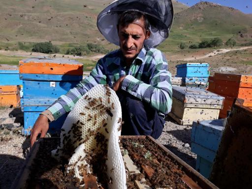 عسل فروشی برداران یعقوبی