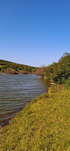 عکس آبی بیگلو