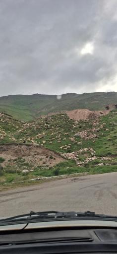 عکس آبی بیگلو