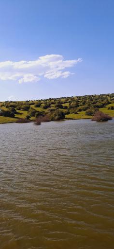 عکس آبی بیگلو