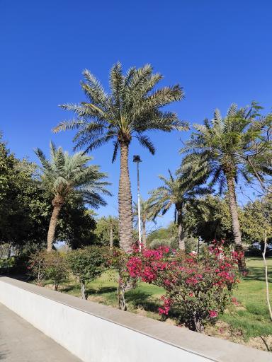 عکس هتل شایان کیش