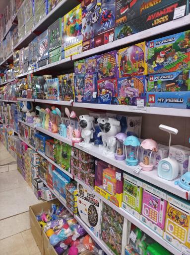 فروشگاه اسباب بازی بستانی