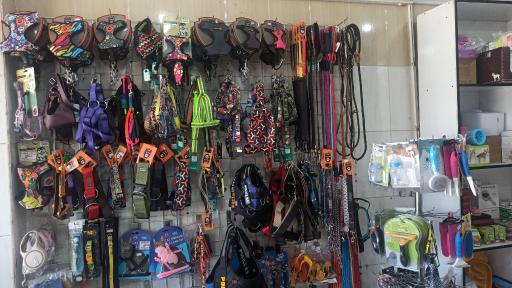 عکس پت شاپ متیو