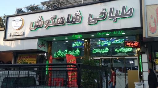 عکس طباخی شاهگوش