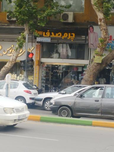 عکس چرم صدف