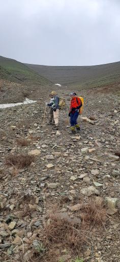 عکس ایستگاه ۷ توچال