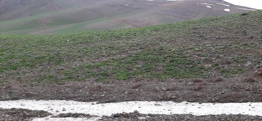 عکس ایستگاه ۷ توچال