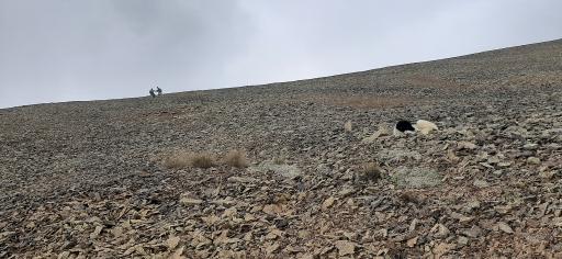 عکس ایستگاه ۷ توچال