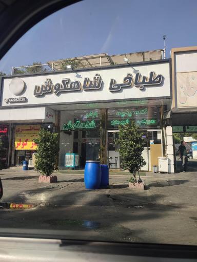 عکس طباخی شاهگوش