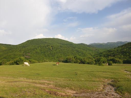 عکس آبی بیگلو