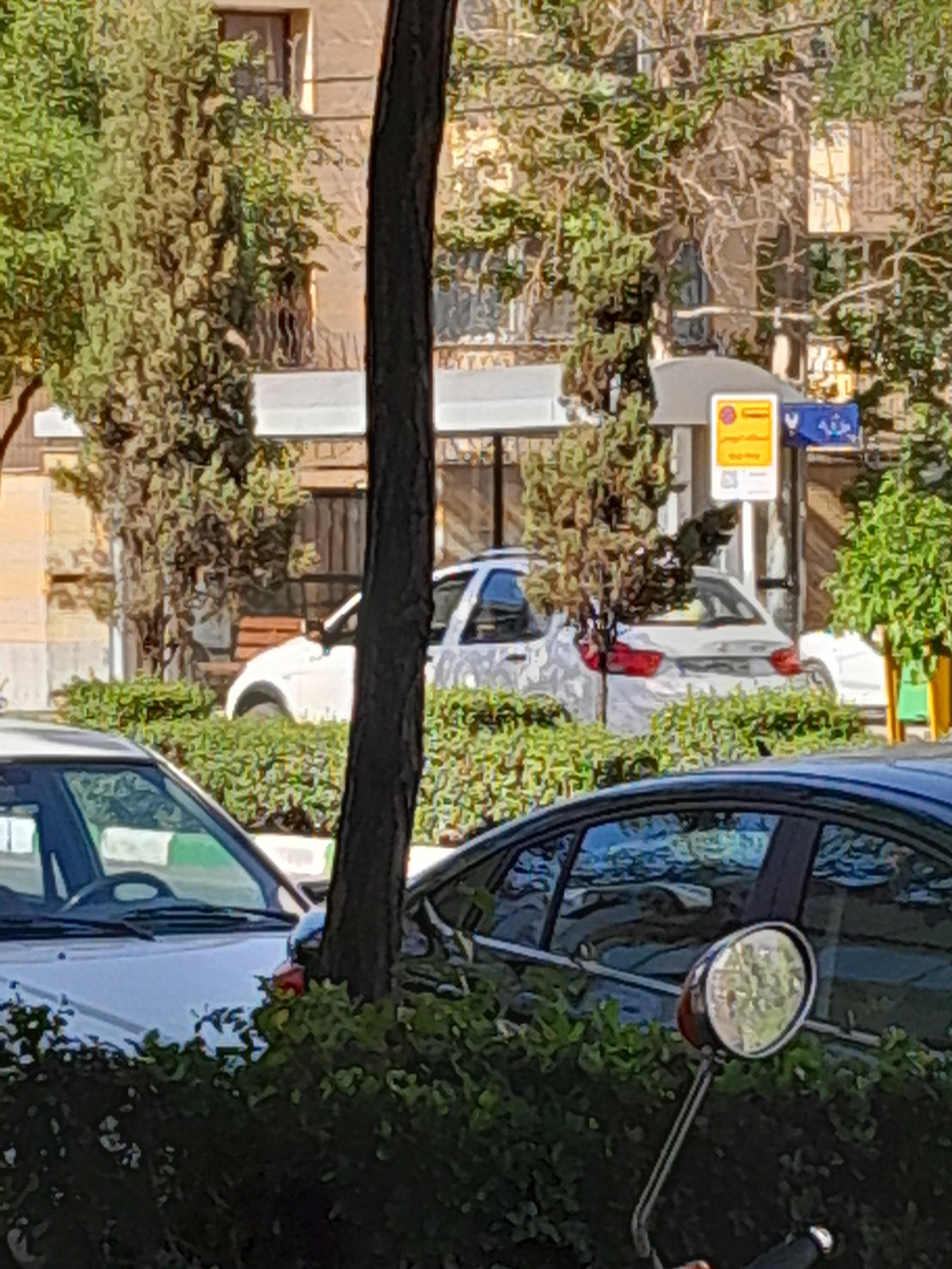 عکس  جلال آل احمد 57