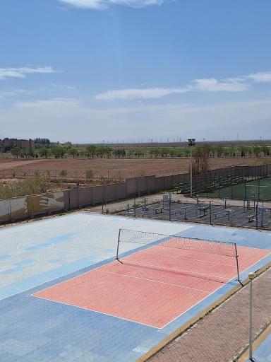 عکس زمین والیبال 