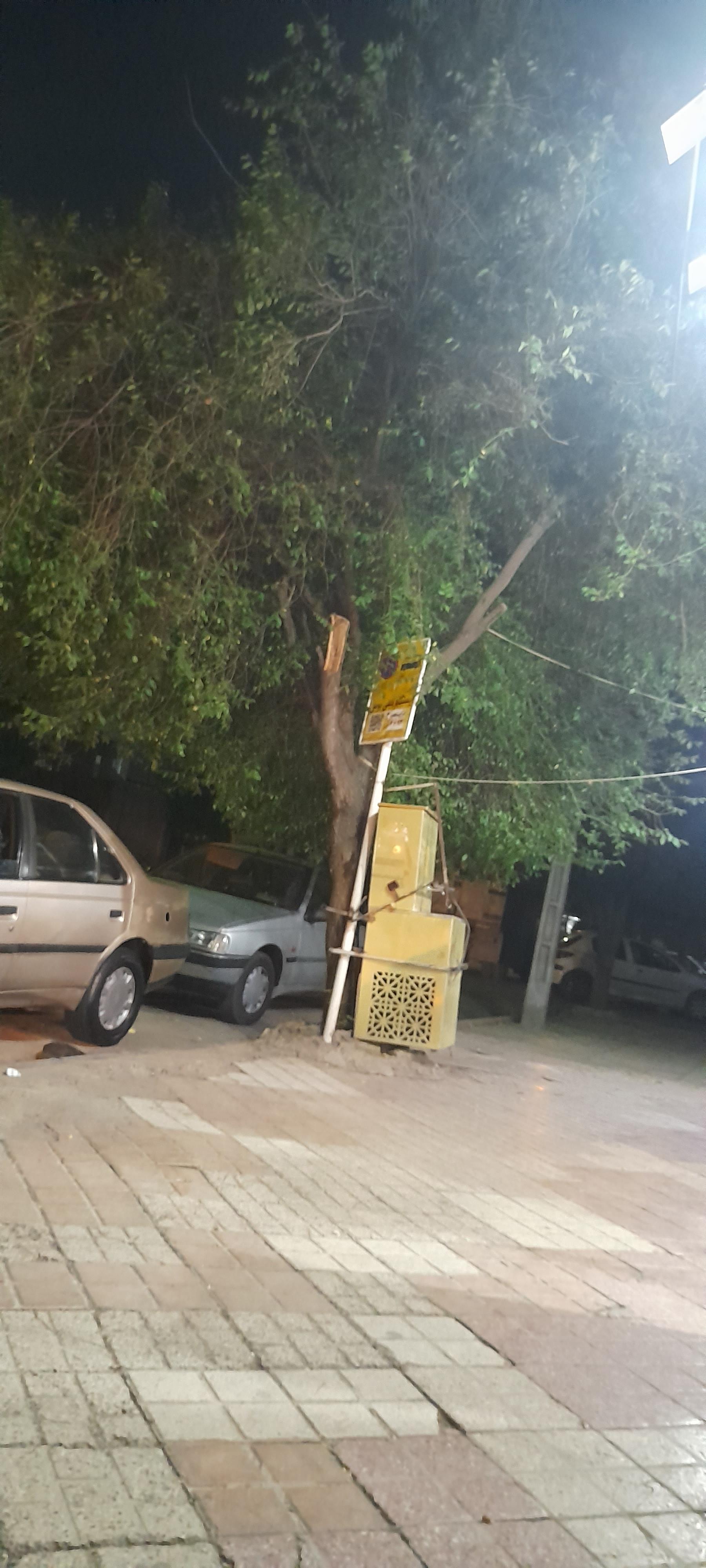 عکس  شهید انفرادی 6