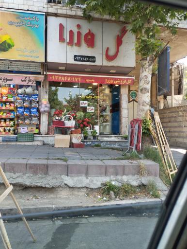 عکس گلفروشی وزرا