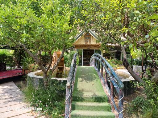 عکس رستوران و کافه سنتی نور