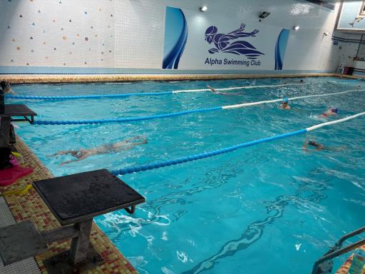 عکس استخر آلفا