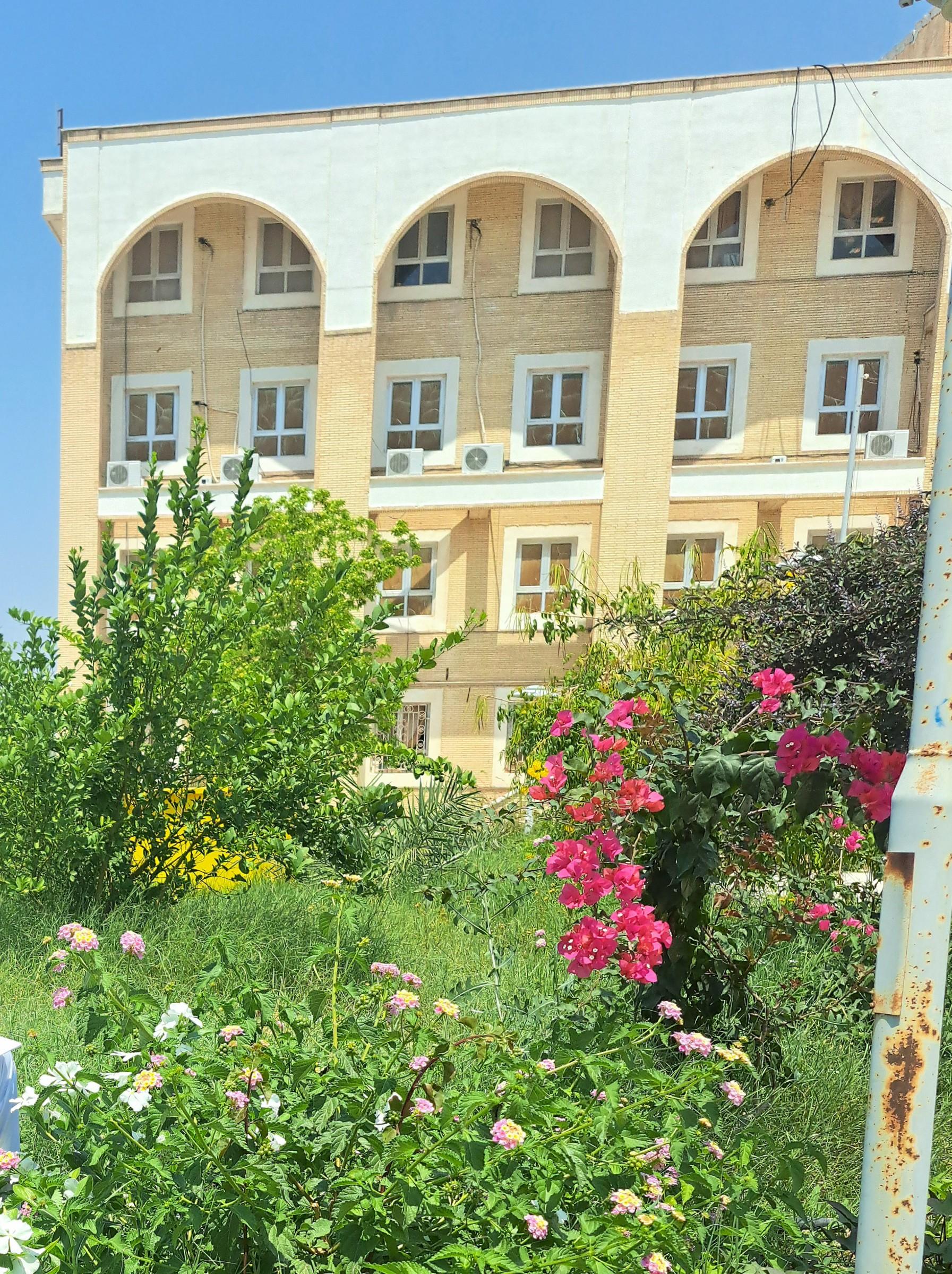 عکس دانشگاه پیام نور برازجان