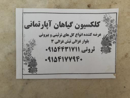 عکس کلکسیون گیاهان آپارتمانی ثروتی