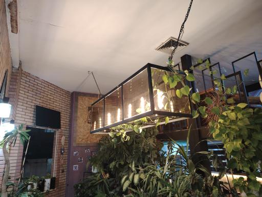 عکس کافی شاپ هیچ 