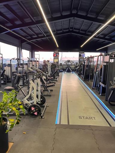 عکس باشگاه ورزشی گلدجیم