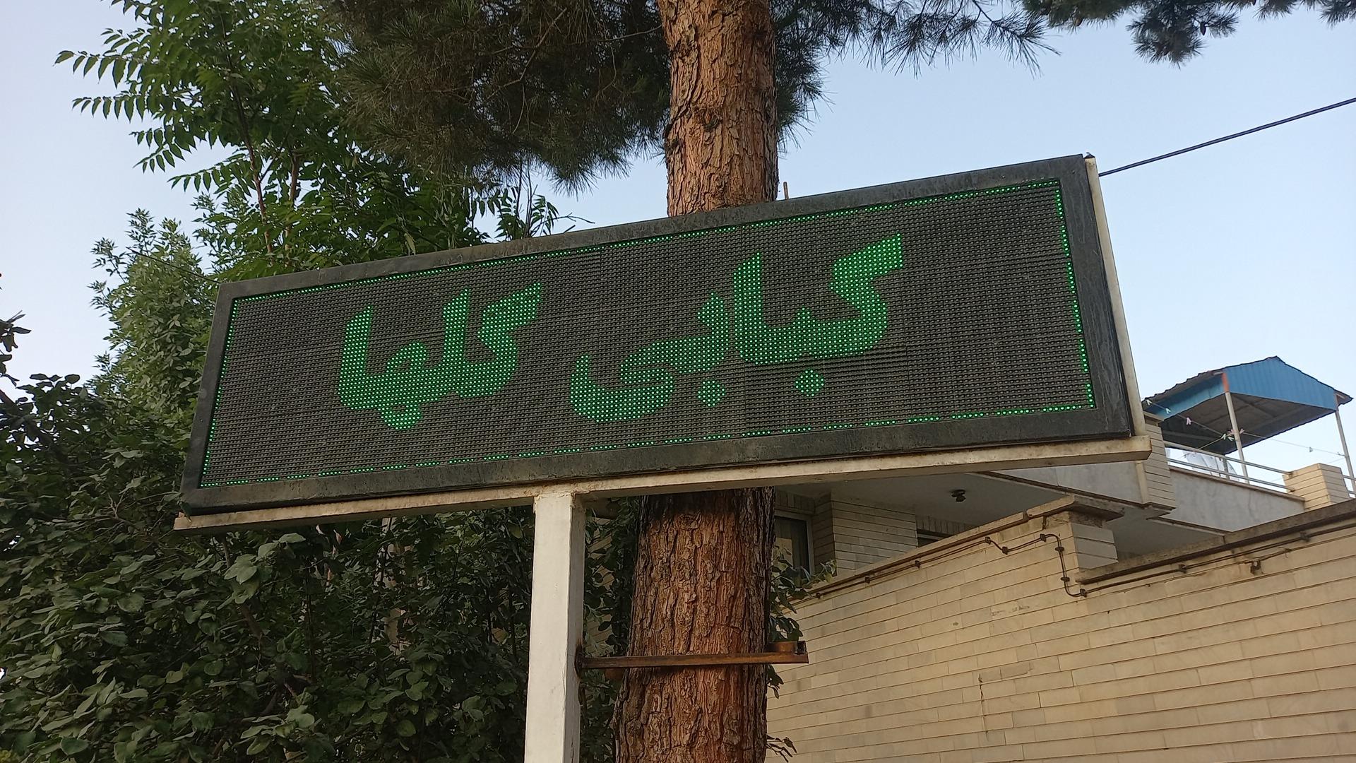 عکس کبابی گلها