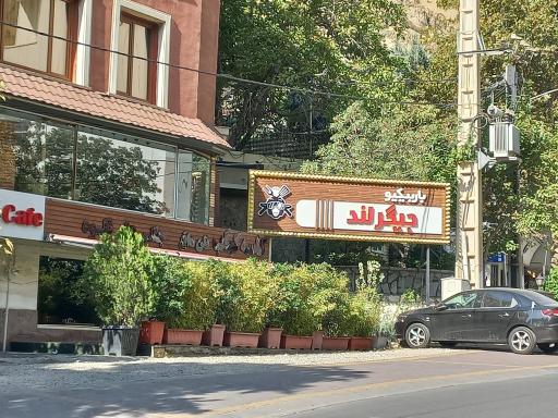 عکس جیگرلند فشم