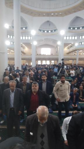 عکس مصلی زنجان