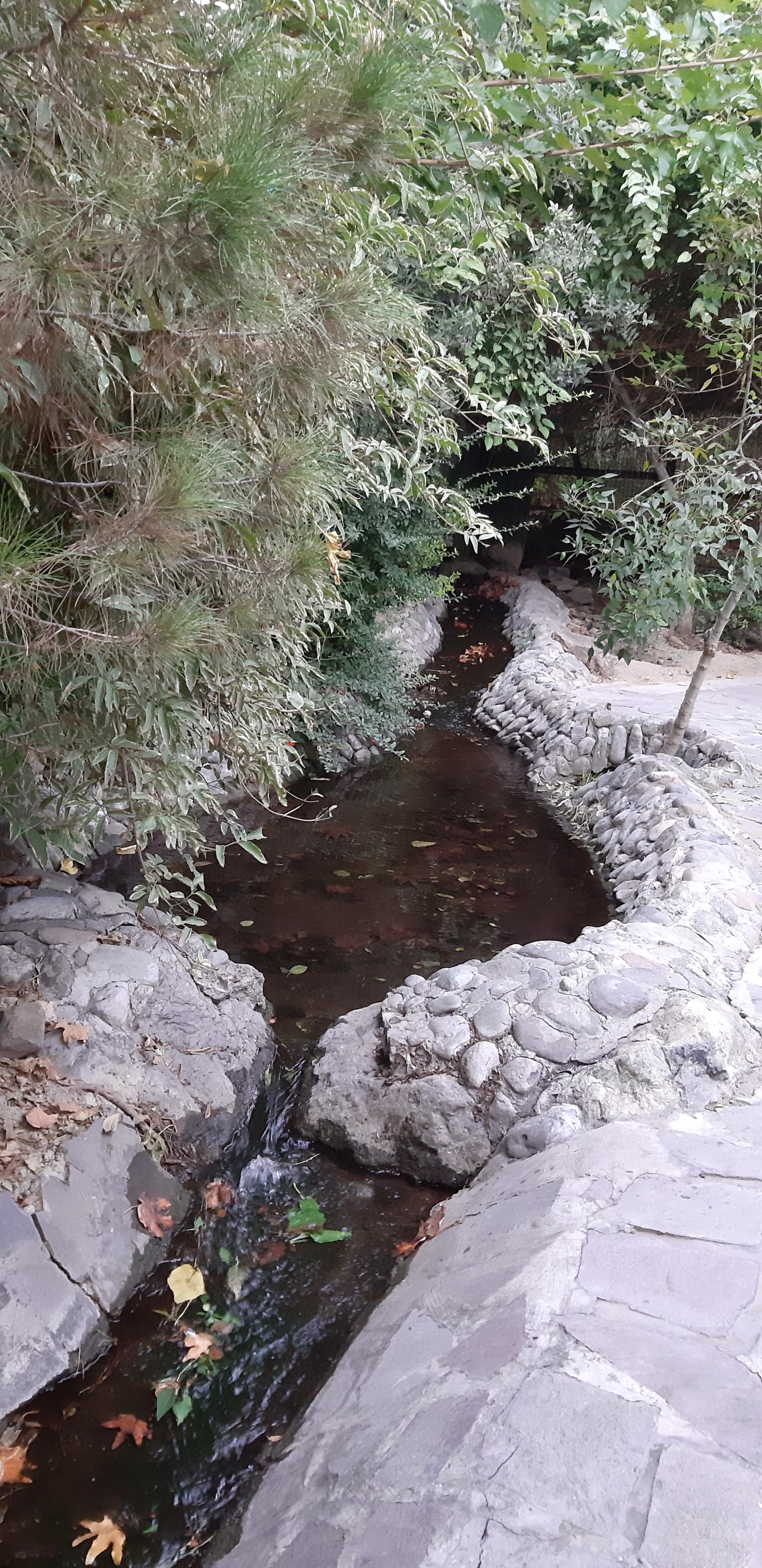 عکس بوستان صدر