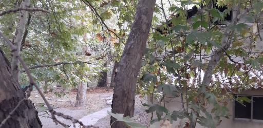 عکس بوستان صدر