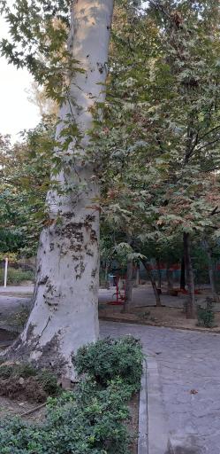 عکس بوستان صدر