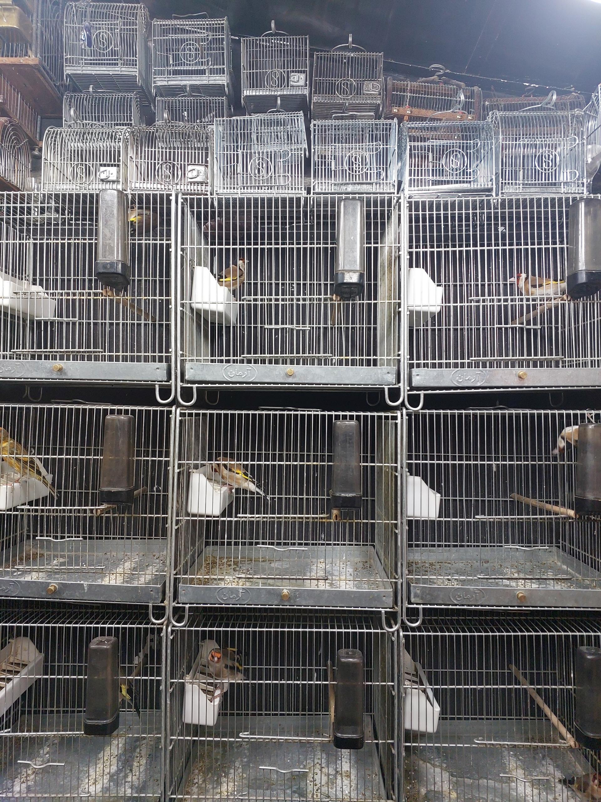 عکس سهره سهند