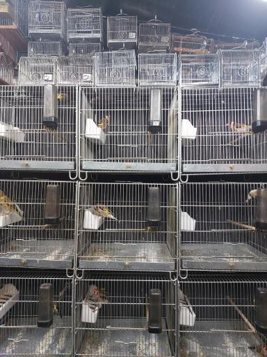 عکس سهره سهند