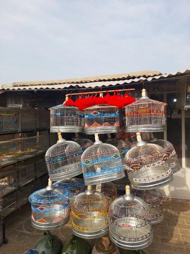 عکس سهره سهند