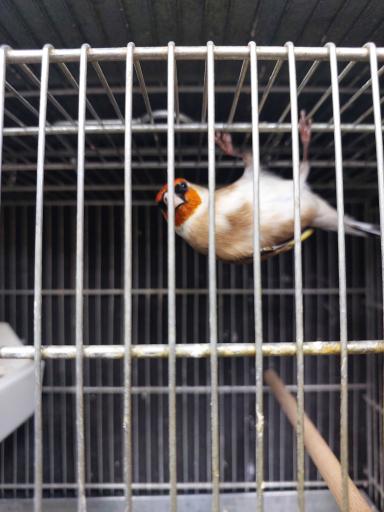 عکس سهره سهند