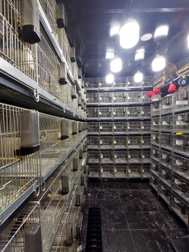 عکس سهره سهند