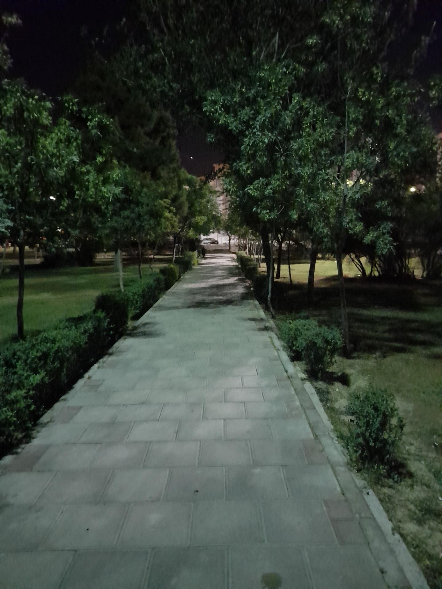 عکس بوستان خلیج فارس مشیریه