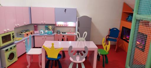 عکس خانه بازی شاینی لند