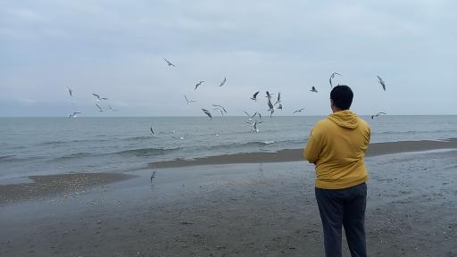 ساحل سنگی کپورچال