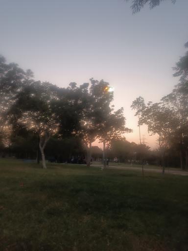 عکس بوستان خلیج فارس مشیریه