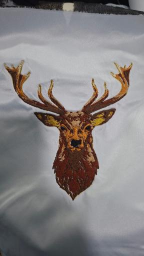 عکس خیاطی ستوده