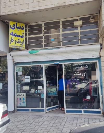 دنیای تسمه، اورینگ و خار