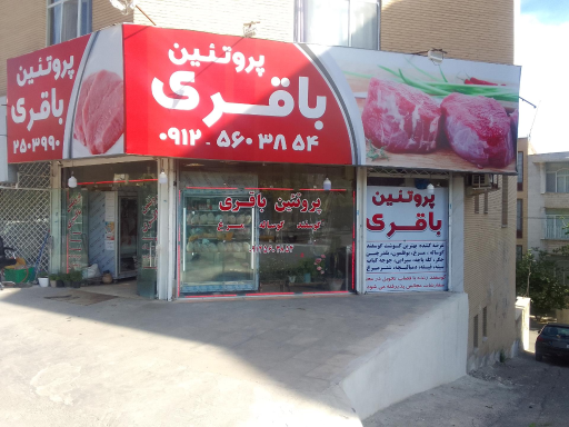 عکس پروتئینی باقری