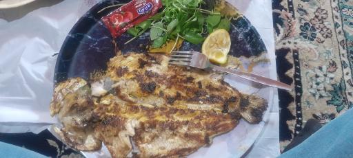 عکس ماهی کبابی قافلانکوه