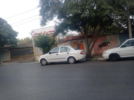 عکس مجموعه ورزشی شهید بهشتی
