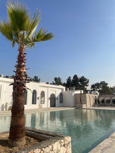 عکس عمارت عکاسی دیورا