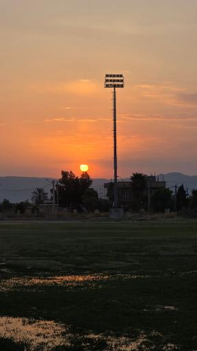 عکس جویم