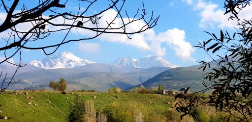 عکس پارک جنگلی خیاو چای